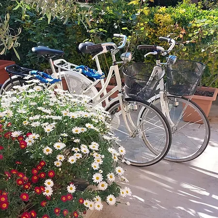 Casa Del Sole Apartments Con Giardino Marina Di Pisa Exterior photo