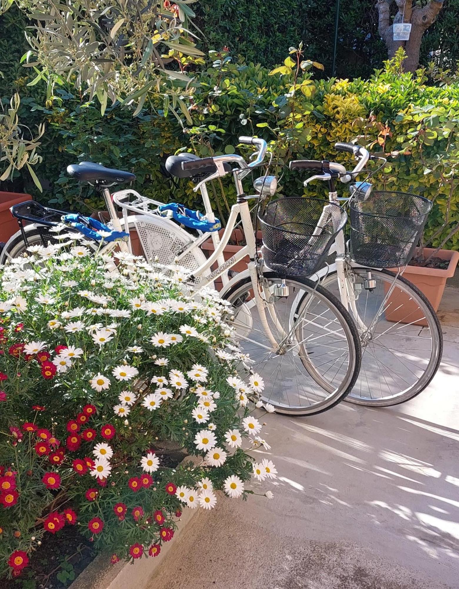 Casa Del Sole Con Giardino Apartment Marina Di Pisa
